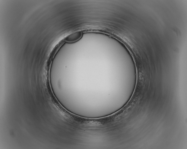 X0000113361119200909291024