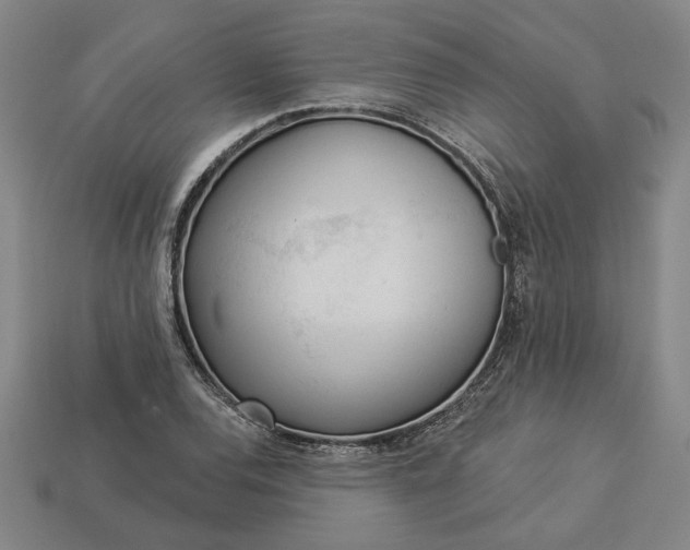 X0000113361120200909291024