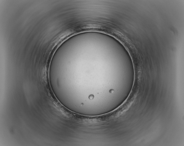 X0000113361121200909291024