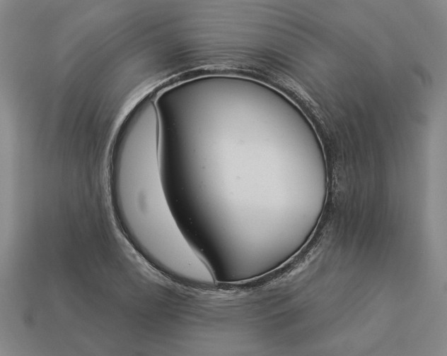 X0000113361122200909291024