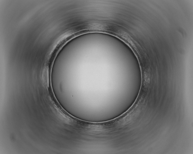 X0000113361123200909291024