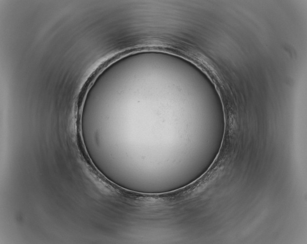 X0000113361124200909291024