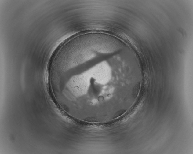 X0000113361125200909291024