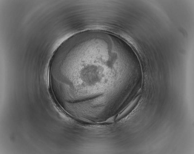 X0000113361127200909291024