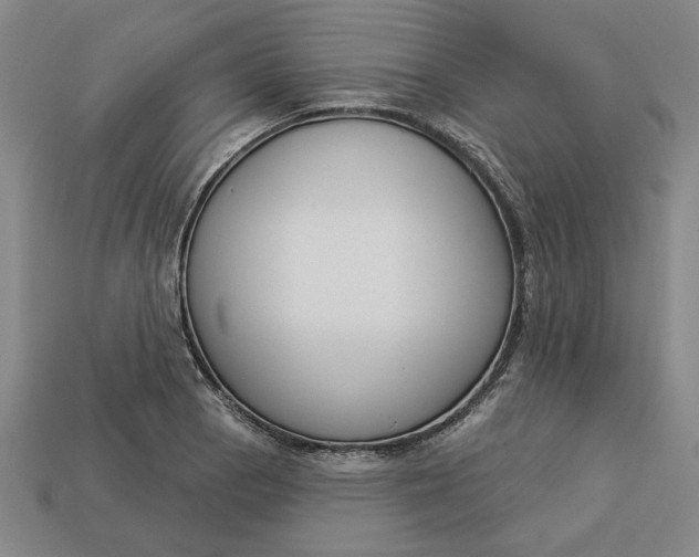 X0000113361129200909291024