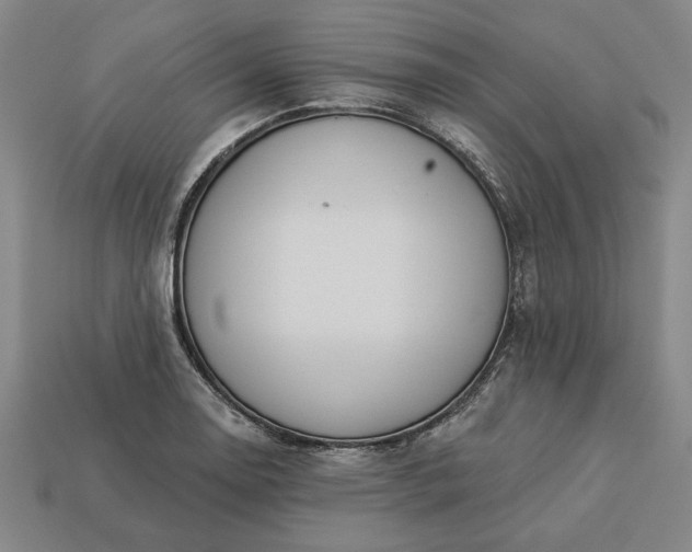 X0000113361130200909291025