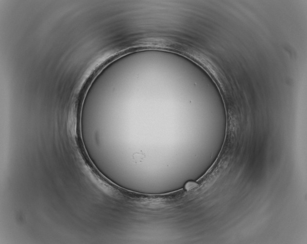 X0000113361131200909291025