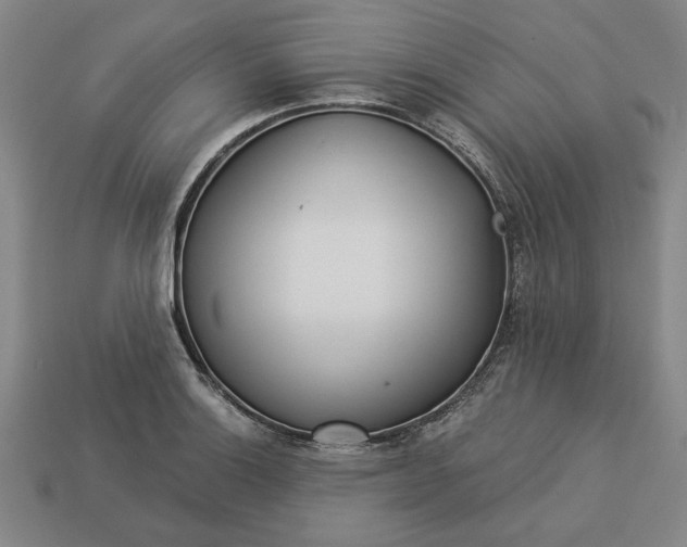 X0000113361132200909291025