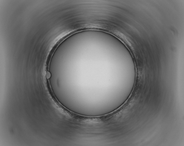 X0000113361133200909291025