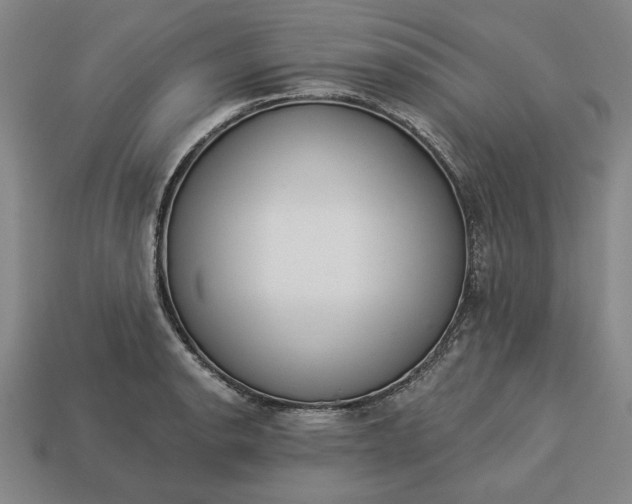 X0000113361134200909291025