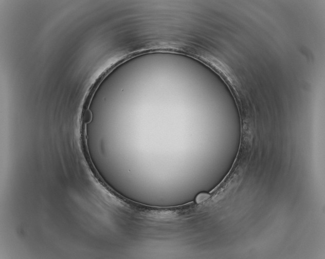 X0000113361135200909291025