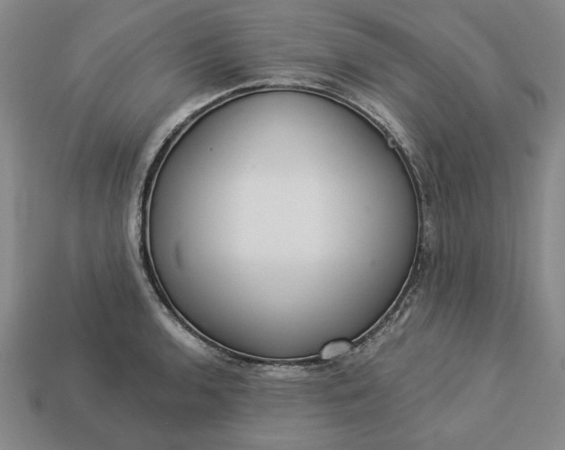 X0000113361136200909291025