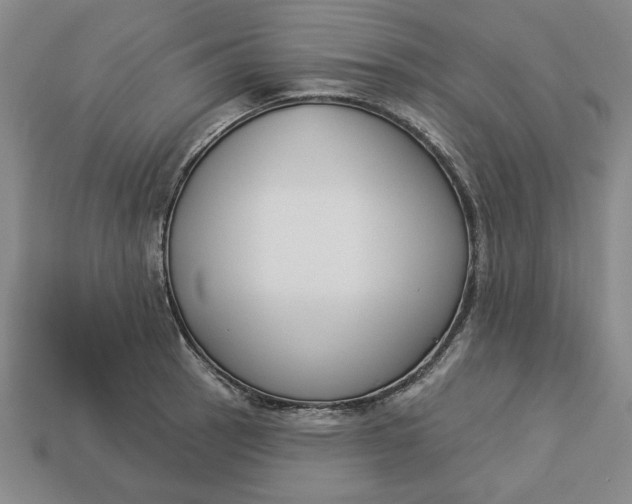 X0000113361137200909291025