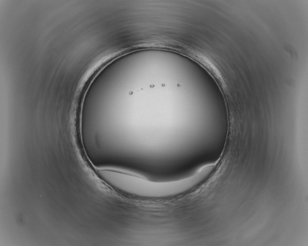 X0000113361138200909291025