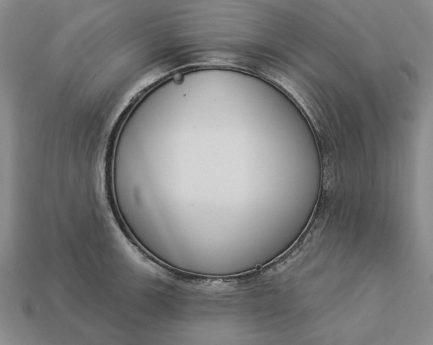 X0000113361139200909291025