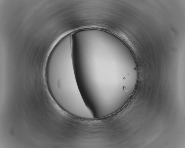 X0000113361140200909291025