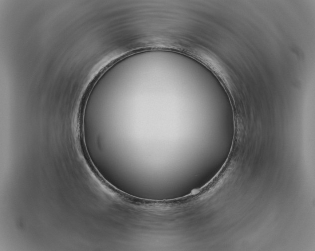 X0000113361141200909291025