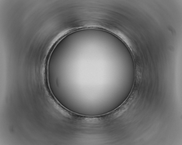 X0000113361142200909291025