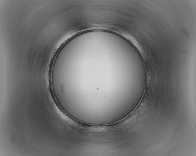 X0000113361143200909291025