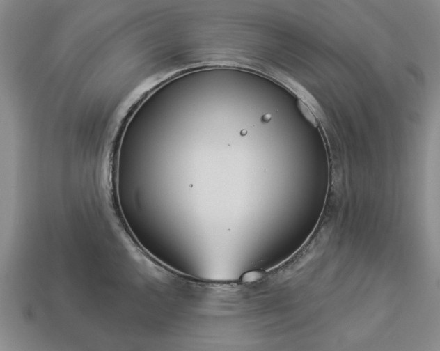 X0000113361144200909291025