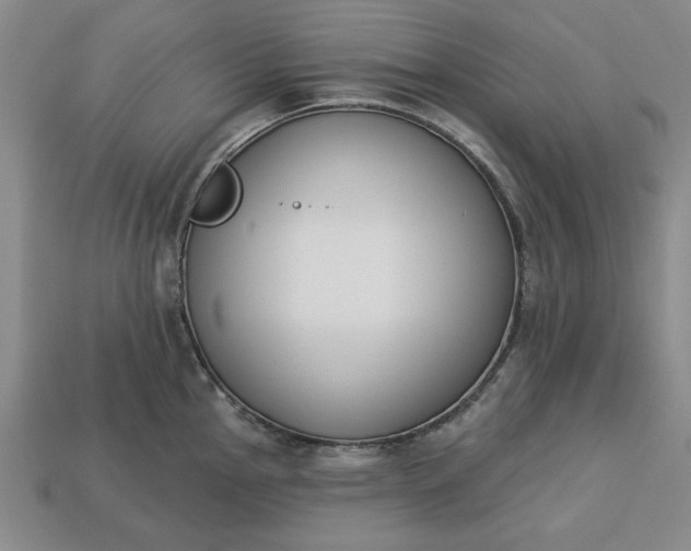 X0000113361145200909291025