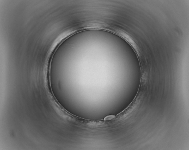 X0000113361146200909291025