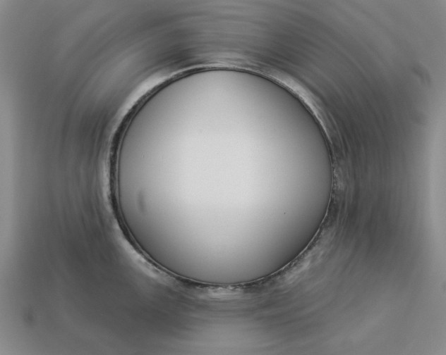 X0000113361147200909291025