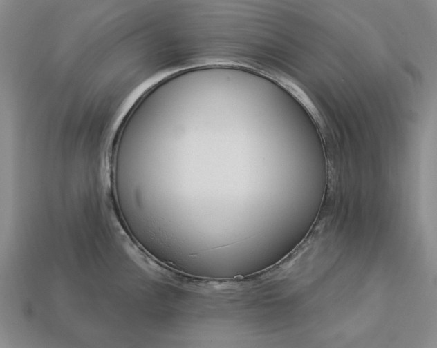 X0000113361148200909291025