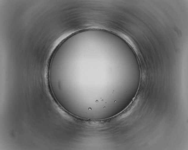 X0000113361149200909291025