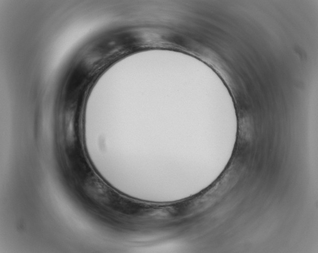 X0000113361150200909291025