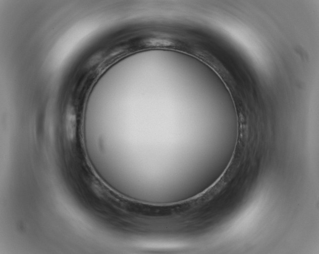 X0000113361151200909291025