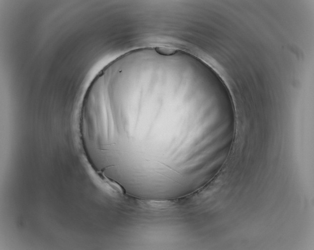 X0000113361152200909291025