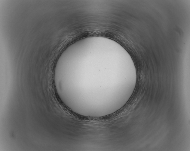 X0000113361153200909291024