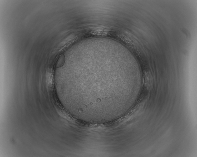 X0000113361154200909291024