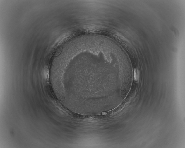 X0000113361155200909291024