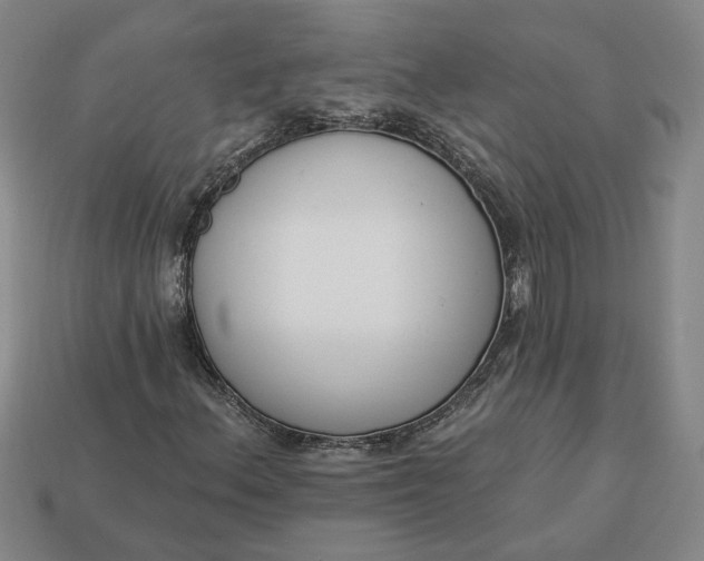 X0000113361156200909291024