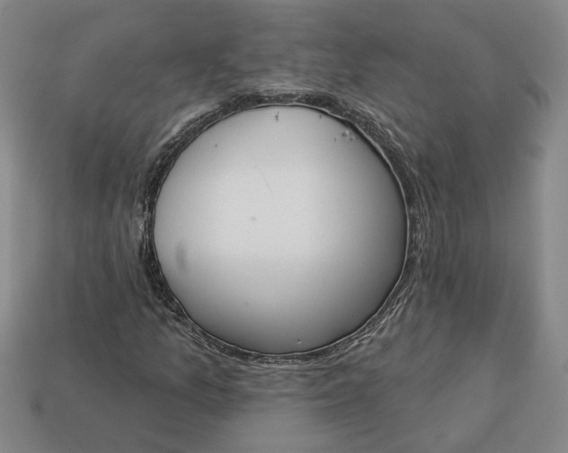 X0000113361157200909291024