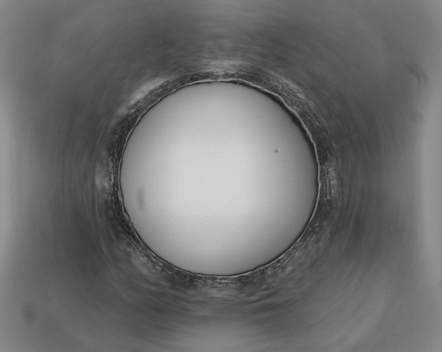 X0000113361158200909291024