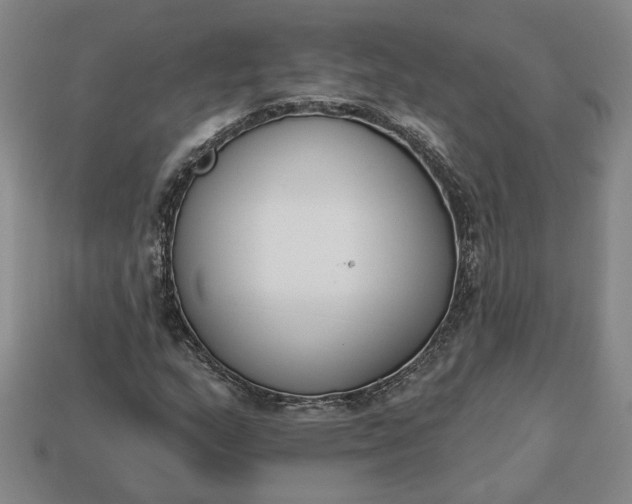 X0000113361159200909291024