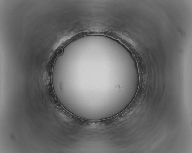 X0000113361160200909291024