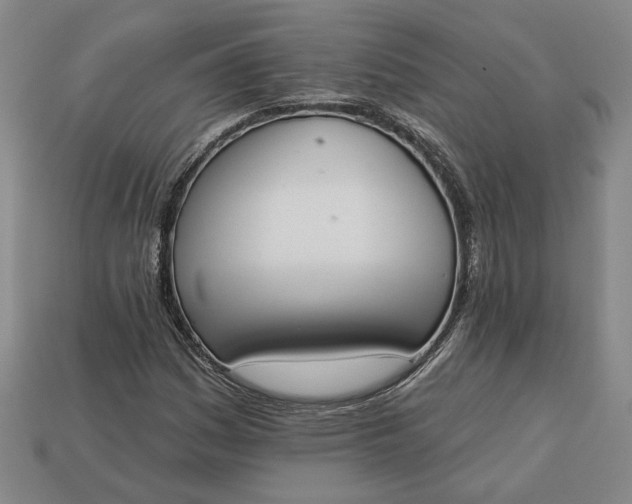 X0000113361161200909291024