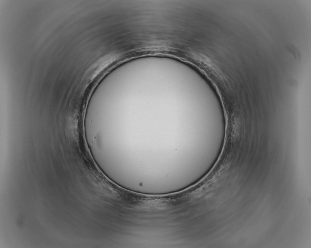 X0000113361162200909291024