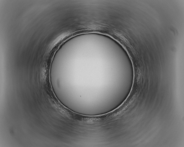 X0000113361163200909291024