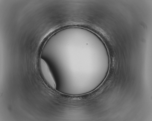 X0000113361165200909291024