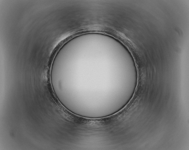 X0000113361166200909291024