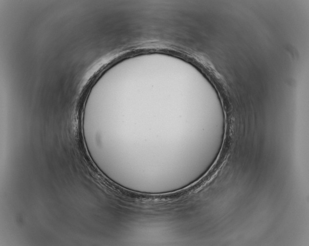 X0000113361167200909291024