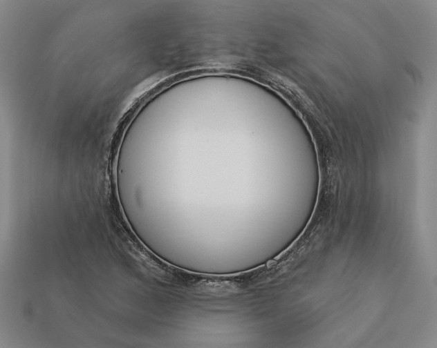 X0000113361168200909291024