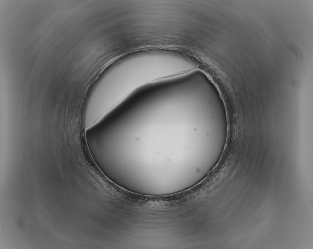 X0000113361169200909291024