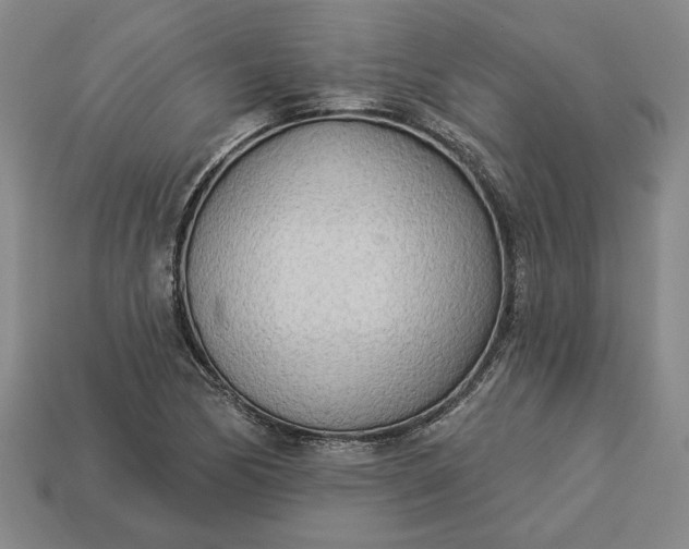 X0000113361170200909291024