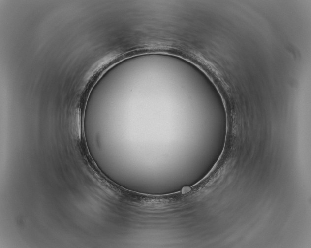 X0000113361171200909291024